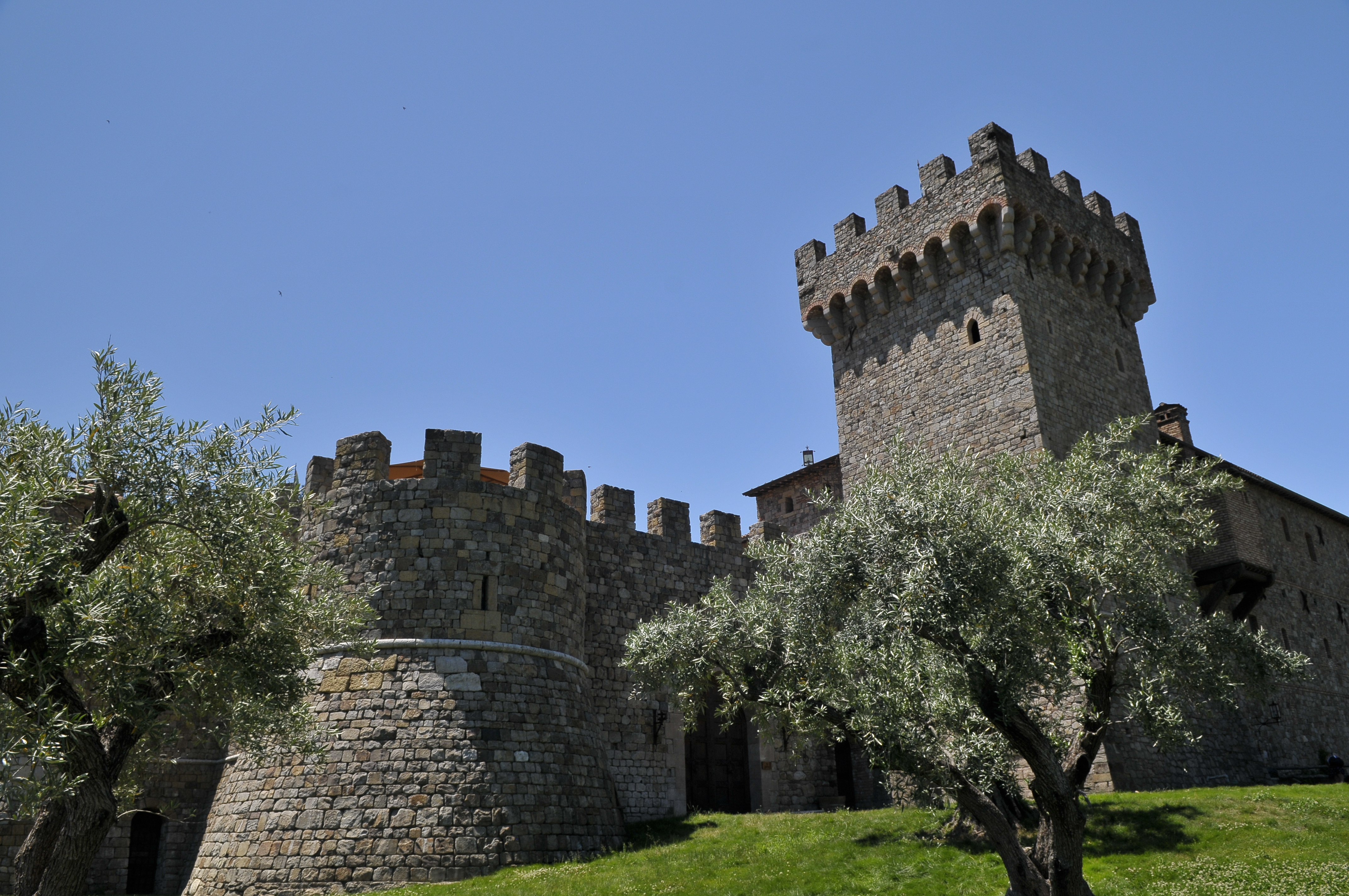 Castello di Amorosa Gewürztraminer – A Winning Trio ...
