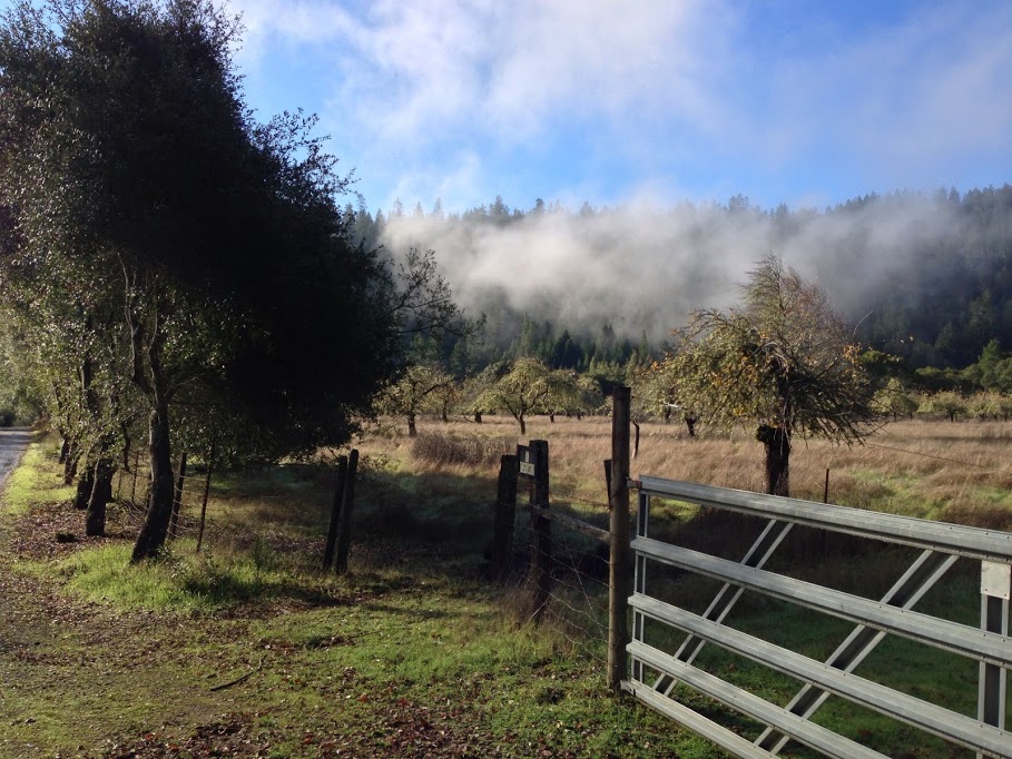 Side road fog