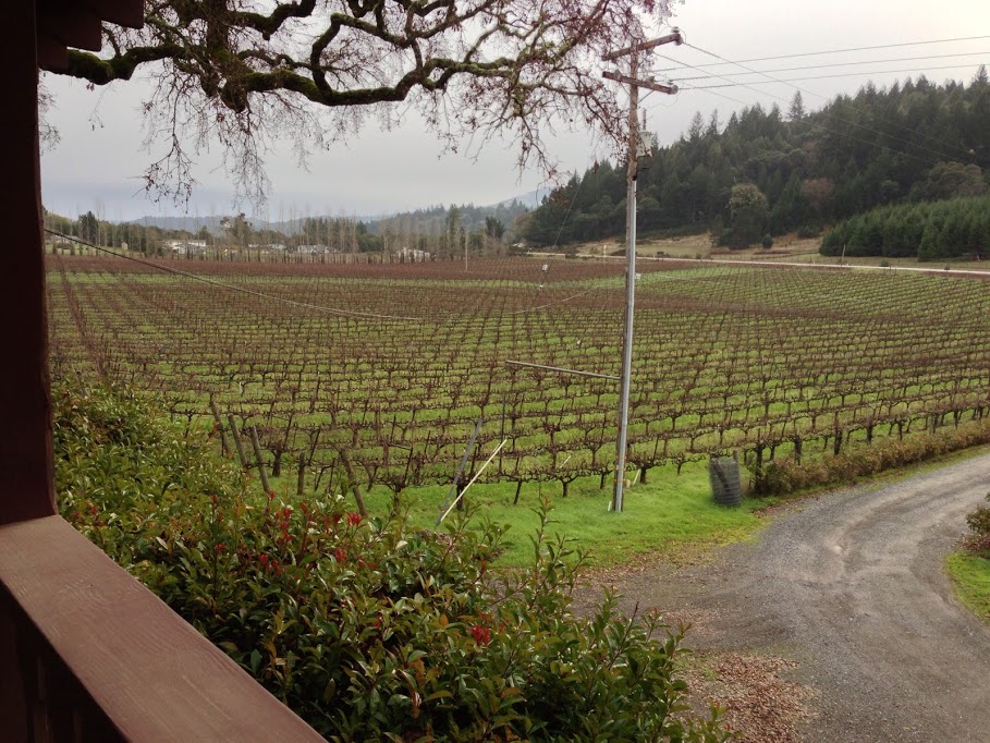 Yorkville cellar view