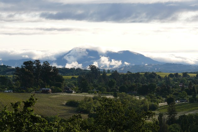 ViewfromourTastingRoom