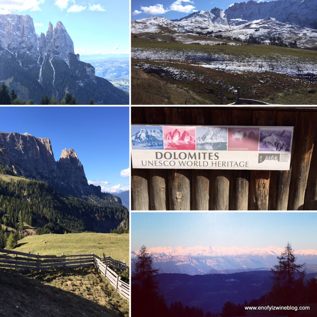 Some photos from our hike in the Dolomites! An amazing experience!