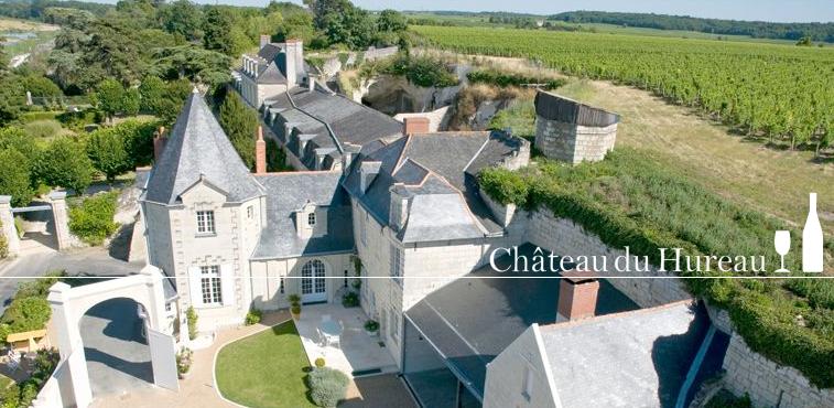 Chateau H Loire
