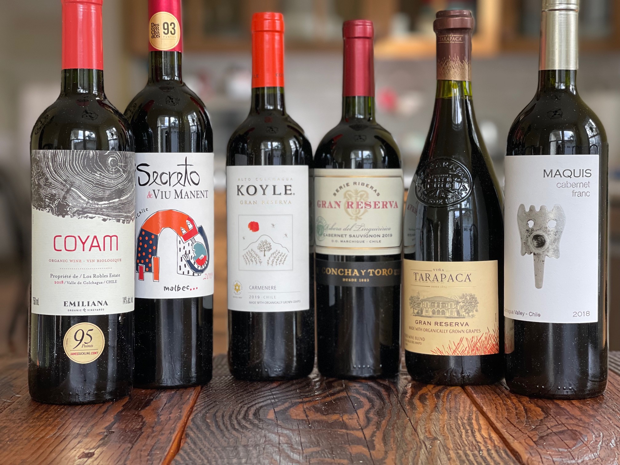Exploring Wines of Chile Long-Standing Commitment to Sustainability By The  Bottle | ENOFYLZ Wine Blog